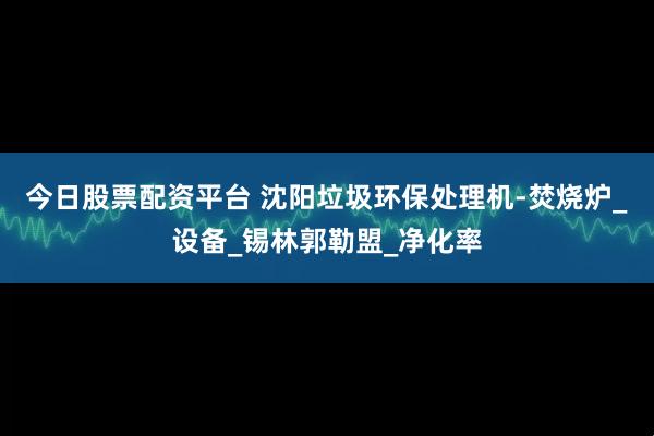 今日股票配资平台 沈阳垃圾环保处理机-焚烧炉_设备_锡林郭勒盟_净化率