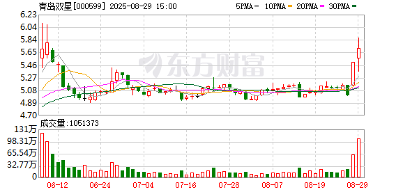 股票配资资讯网站 青岛双星：选举职工代表董事