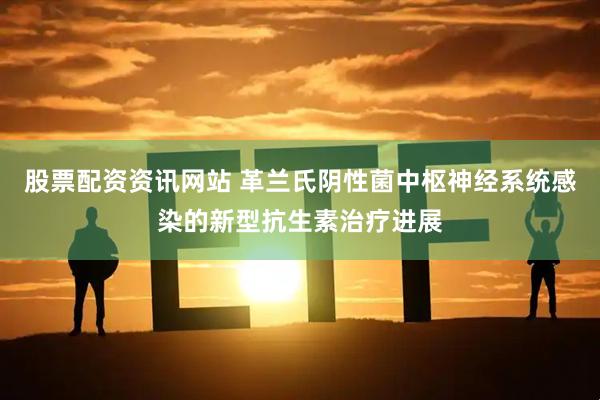 股票配资资讯网站 革兰氏阴性菌中枢神经系统感染的新型抗生素治疗进展