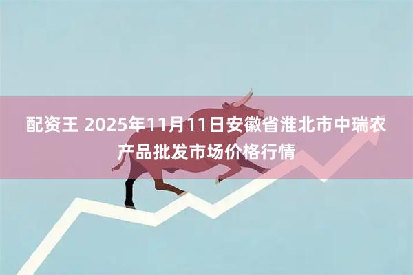 配资王 2025年11月11日安徽省淮北市中瑞农产品批发市场价格行情